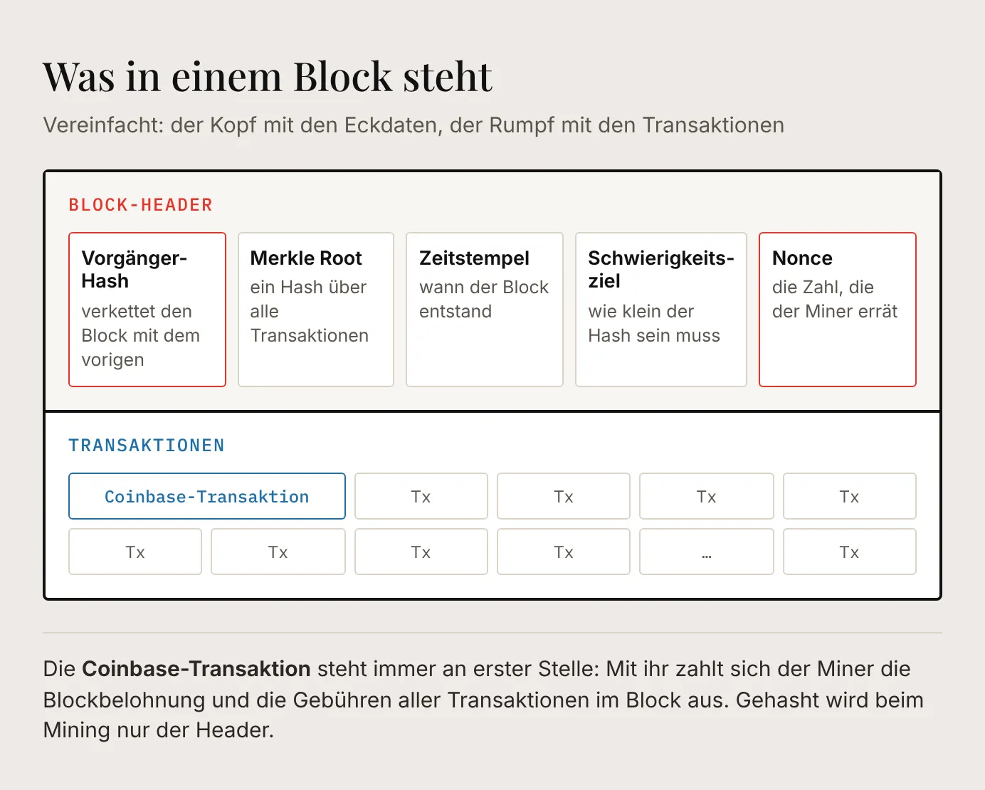 Aufbau eines Bitcoin-Blocks: oben der Block-Header mit Vorgänger-Hash, Merkle Root, Zeitstempel, Schwierigkeitsziel und Nonce, darunter die Coinbase-Transaktion und die übrigen Transaktionen