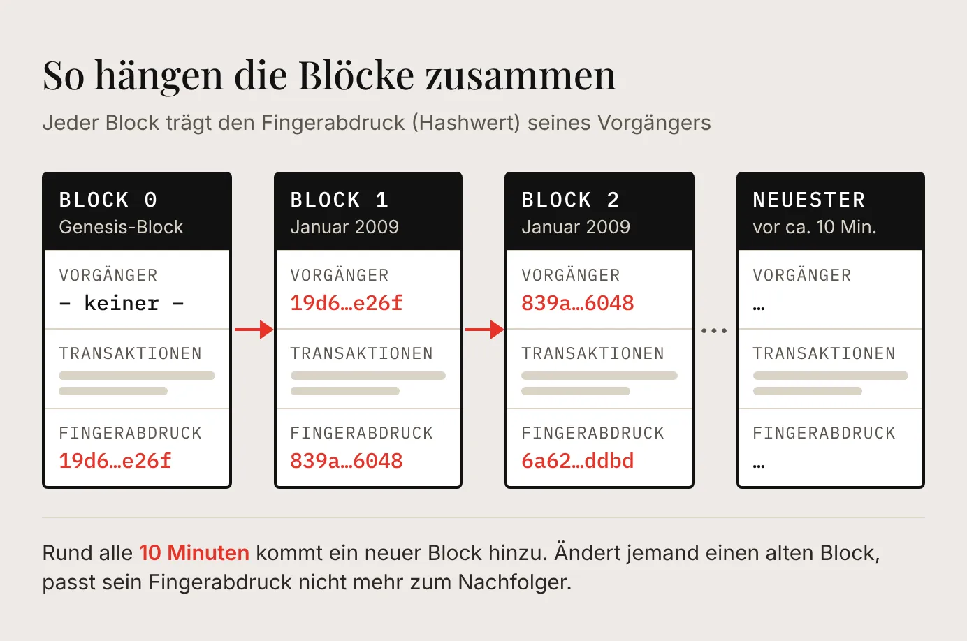 Schaubild der Blockchain: vier Blöcke in einer Reihe, vom Genesis-Block bis zum neuesten Block; jeder Block enthält Transaktionen und den Fingerabdruck des vorherigen Blocks