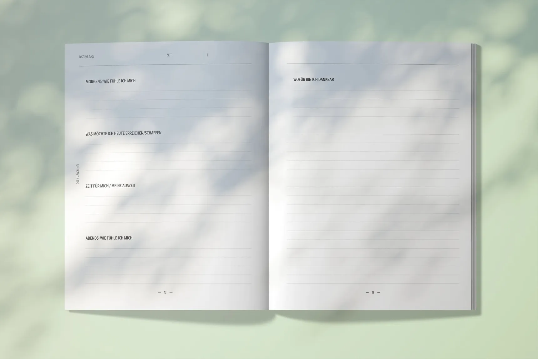 Aufgeschlagenes Journal mit den Fragen „Morgens: Wie fühle ich mich“, „Was möchte ich heute erreichen“, „Zeit für mich“, „Abends: Wie fühle ich mich“ und „Wofür bin ich dankbar“